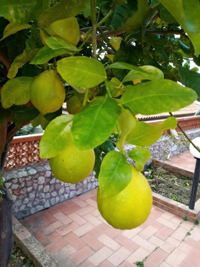 Villa Verde Cefalù Dış mekan fotoğraf