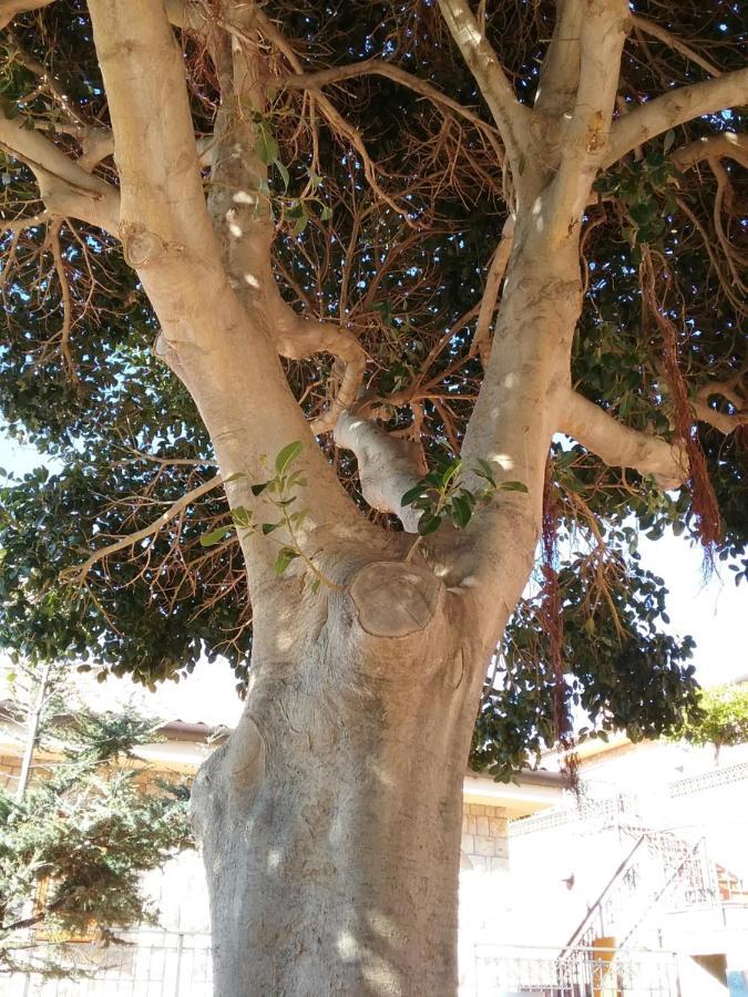 Villa Verde Cefalù Dış mekan fotoğraf